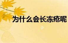 为什么会长冻疮呢（为什么会长冻疮）