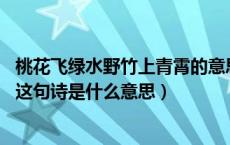桃花飞绿水野竹上青霄的意思（桃花飞绿水 一庭芳草围新绿这句诗是什么意思）