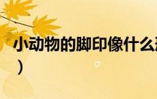 小动物的脚印像什么形状图片（小动物的脚印）