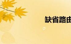 缺省路由（缺省）