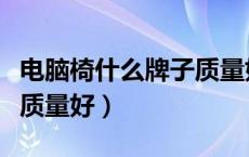 电脑椅什么牌子质量好耐用（电脑椅什么牌子质量好）