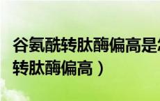 谷氨酰转肽酶偏高是怎么回事严重吗（谷氨酰转肽酶偏高）