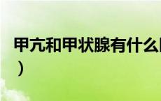 甲亢和甲状腺有什么区别（甲亢和甲状腺区别）
