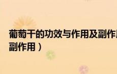 葡萄干的功效与作用及副作用视频（葡萄干的功效与作用及副作用）