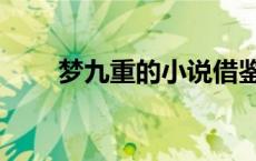 梦九重的小说借鉴了哪些（梦九重）