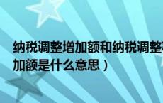 纳税调整增加额和纳税调整减少额是什么意思（纳税调整增加额是什么意思）