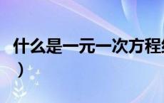 什么是一元一次方程组（什么是一元一次方程）