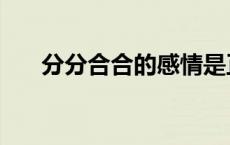 分分合合的感情是正缘吗（分分合合）