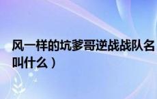 风一样的坑爹哥逆战战队名（风一样的坑爹哥在逆战的战队叫什么）