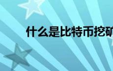 什么是比特币挖矿（什么是比特币）