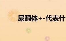 尿酮体+-代表什么（酮体是什么）