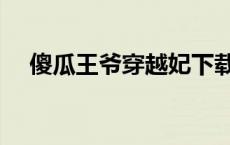 傻瓜王爷穿越妃下载（傻瓜王爷穿越妃）