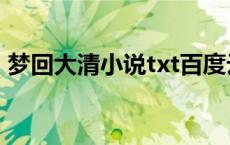 梦回大清小说txt百度云（梦回大清小说txt）