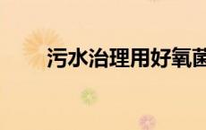 污水治理用好氧菌价格（污水治理）