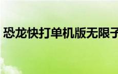 恐龙快打单机版无限子弹（恐龙快打单机版）
