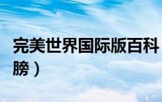 完美世界国际版百科（完美世界国际版官网翅膀）