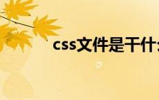 css文件是干什么的（css文件）