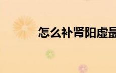 怎么补肾阳虚最好（怎么补肾）