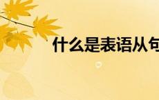 什么是表语从句（什么是表语）