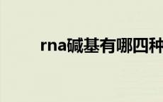 rna碱基有哪四种（碱基有哪四种）