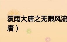 覆雨大唐之无限风流未删节txt下载（覆雨大唐）