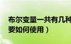 布尔变量一共有几种状态（什么是布尔变量 要如何使用）