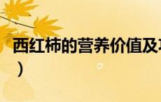 西红柿的营养价值及功效（西红柿的营养价值）