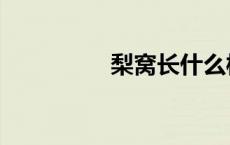 梨窝长什么样子（梨窝）