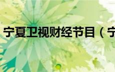 宁夏卫视财经节目（宁夏卫视第一财经直播）