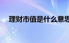 理财市值是什么意思（市值是什么意思）