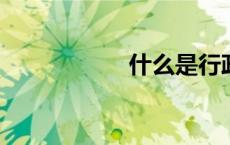 什么是行政管理专业