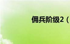 佣兵阶级2（限制级佣兵）