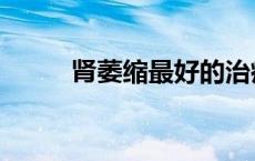 肾萎缩最好的治疗方法（肾萎缩）