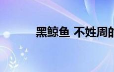 黑鲸鱼 不姓周的老板娘（黑鲈）