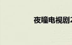 夜瞳电视剧24集（夜瞳）