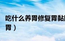 吃什么养胃修复胃黏膜最快的方法（吃什么养胃）