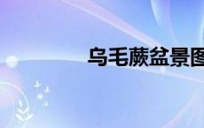 乌毛蕨盆景图片（乌毛蕨）