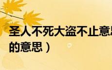 圣人不死大盗不止意思是（圣人不死大盗不止的意思）