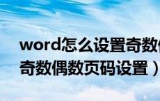 word怎么设置奇数偶数页页码格式（word奇数偶数页码设置）
