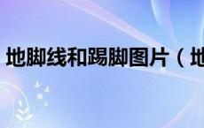 地脚线和踢脚图片（地脚线和踢脚线的区别）