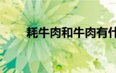 耗牛肉和牛肉有什么差别（耗牛肉）