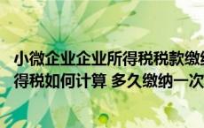 小微企业企业所得税税款缴纳周期及依据（小微企业 企业所得税如何计算 多久缴纳一次）