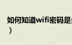 如何知道wifi密码是多少（如何知道wifi密码）