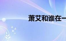 萧艾和谁在一起了（萧艾）