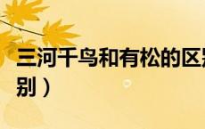 三河千鸟和有松的区别（千鸟和雷切有什么区别）