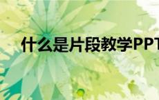 什么是片段教学PPT（什么是片段教学）