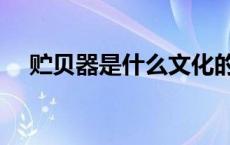 贮贝器是什么文化的特色器物（贮贝器）