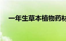 一年生草本植物药材（一年生草本植物）