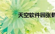 天空软件园张鹤（天空软件园）