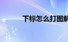 下标怎么打图解（下标怎么打）